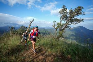 BIB: 2008
                            <button type="button" onclick="openModal(22373958)" class="btn btn-primary btn-sm float-right btn-popup" data-toggle="modal" data-target=".modal-high-quality">
                        <i class="fas fa-shopping-cart"></i> Add to Cart
                    </button>
                                            <button type="button" onclick="isThisMe(22373958, true)" class="btn btn-success btn-sm float-right btn-popup btn-isme hidden" data-toggle="tooltip" data-placement="bottom" title="นี่คือรูปของคุณใช่ไหม คลิกที่นี่เพื่อเอาเข้าอัลบั้ม">
                        <i class="fas fa-plus"></i> Add to album
                    </button>
                    <button type="button" onclick="isThisMe(22373958, false)" class="btn btn-warning btn-sm float-right btn-popup btn-isnotme hidden">
                        <i class="fas fa-ban"></i> Remove from album
                    </button>